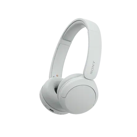 Sony WH-CH520 Snapshot